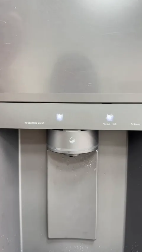 Refrigerator door panel with a Sparkling On/off button